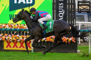 Hollindale Stakes Raceday