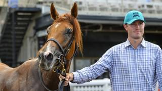 Sun Worshipper out to shine in Caloundra Cup
