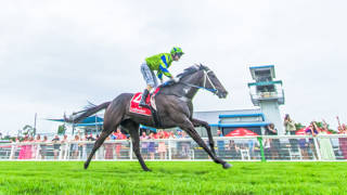 Sand 'N' Power on trial for Cups