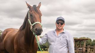 Liberty to step up to the Mountain