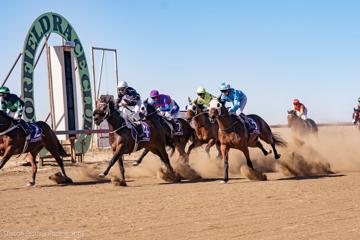 Corfield Cup Day