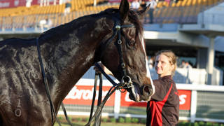 Pride Of Jenni gives Schweida cause for concern