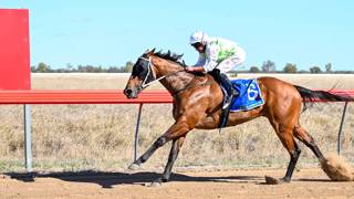 Smith’s Birdsville Cup interest runs deep