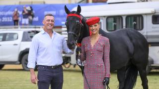 Group 1 champion Antino showing class in post-racing life