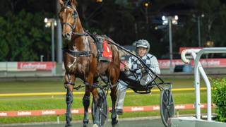 Dashman's harness examination - March 30