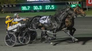 Oli's Oil - April 15 @ Redcliffe