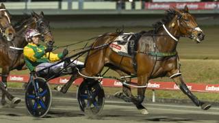The Dashboard - October 31 @ Albion Park