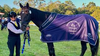 Dressage arena success music to the ears of new owner