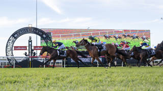 Sears stable following Yellow Brick road to Stradbroke glory