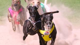 Daysea’s Max hitting his peak ahead of Young Guns Final