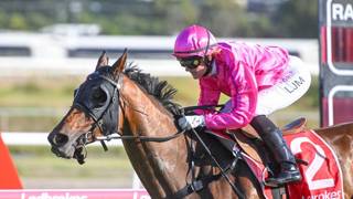 Trevor Rowe hungry for another Cairns Cup