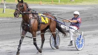 Oli's Oil - March 4 @ Redcliffe