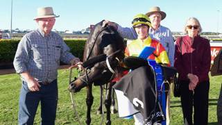 Grinzinger Knight chasing Rockhampton Cup berth
