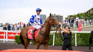 Stradbroke in sight as Gollan guns for Group 1 breakthrough
