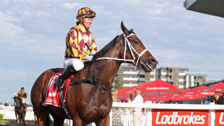 Margot's Deel primed to bounce back to form