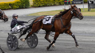 The Dashboard - October 3 @ Albion Park