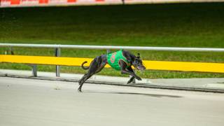 Labour Day Public Holiday Grading Schedule