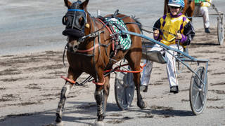 Oli's Oil - April 8 @ Redcliffe