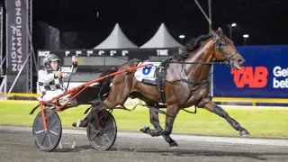 Leap To Fame and co fly Queensland flag chasing NZ riches