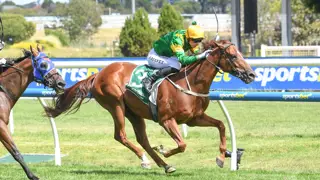 McArdle eyes winter kick-off in Queensland