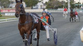 Sallis’ star buy hits the ground running