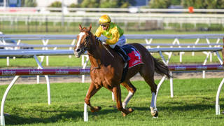Property developer hoping for The Archer breakthrough