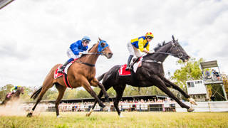 Yes Dream’s remarkable racing revival