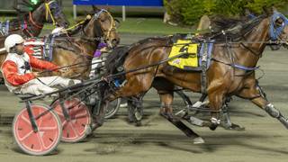 Veteran outsider flashes home to win at Redcliffe