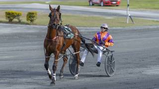Noel Price remembered as a pioneer of trotting in Queensland