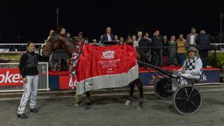 Seven Network to broadcast Inter Dominion series
