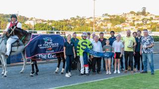 Dashman's harness look ahead - February 27