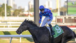 Jenni back to brilliant best at the Gold Coast