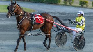 Oli's Oil - February 4 @ Redcliffe