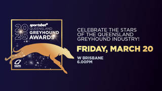 RQ unveils Greyhound of the Year finalists