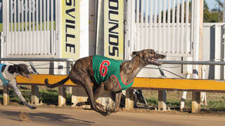 Wicket ready to reward Cairns connection in Townsville Cup