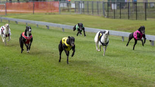 Robynne’s baby on track to be a Young Gun