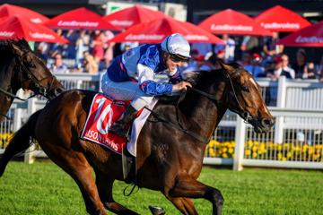 Queensland Derby Day