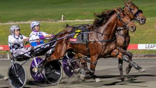 The Dashboard - July 18 @ Albion Park