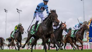 Double Cool ready to shine in Spirit Of Boom Classic