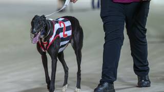 Easter Grading Schedule 2026