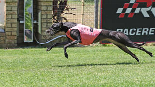 Jane to go like a jet for Giltinan