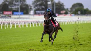 Brown seeking luck after Stradbroke barrier blow