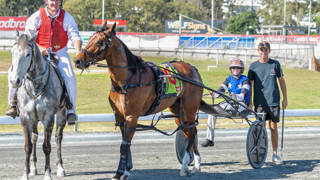 Dashman's harness look ahead - May 1