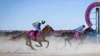 Ferguson still hunting outback Cups