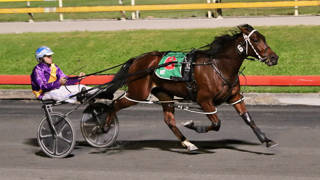 Dashman's harness look ahead - April 17