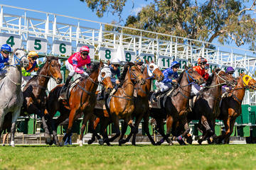 Rockhampton Cup