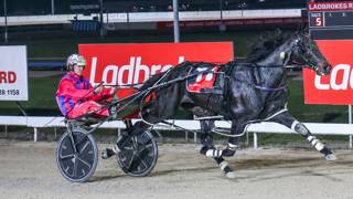 Family pride drives Triedtotellya’s Inter Dominion dream