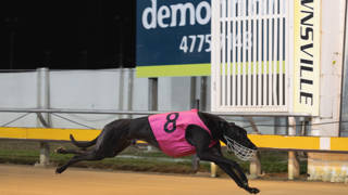 Janiak takes interest in greyhound namesake Takeover Target