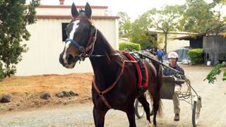 Back from the seniors, Mecarno ready to fire