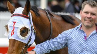 Pascoe eyes new stable star with Dracena's return